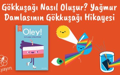 Gökkuşağı Nasıl Oluşur? Yağmur Damlasının Gökkuşağı Hikayesi