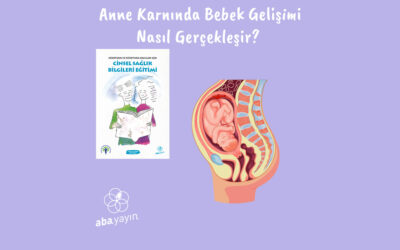 Anne Karnında Bebek Gelişimi Nasıl Gerçekleşir?