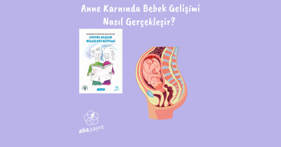 Anne Karnında Bebek Gelişimi Nasıl Gerçekleşir? Aba Yayın